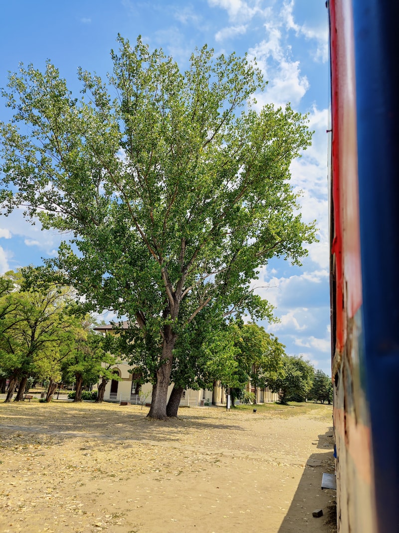Şuhut'un Doğal Güzellikleri ve Turistik Yerleri Şuhut'un Doğal Güzellikleri ve Turistik Yerleri